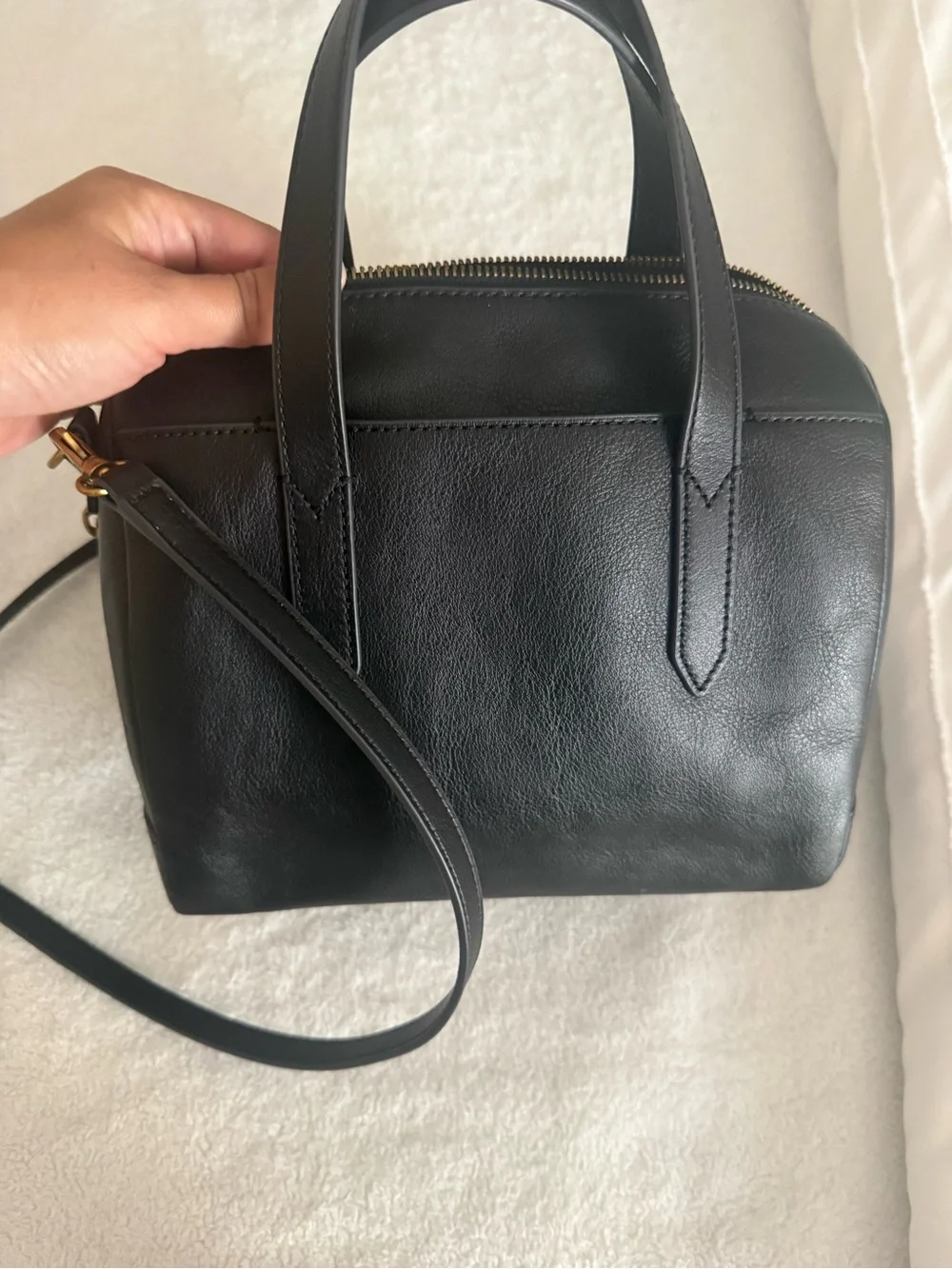 Fossil compact black